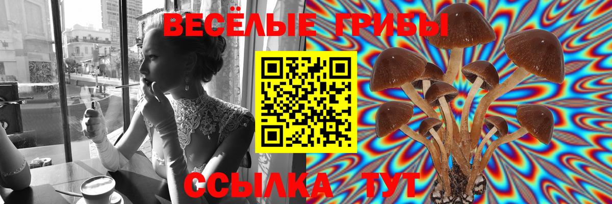 Галлюциногенные грибы Cubensis  Галлюциногенные грибы MAGIC MUSHROOMS  Обнинск  Вход с VPN 