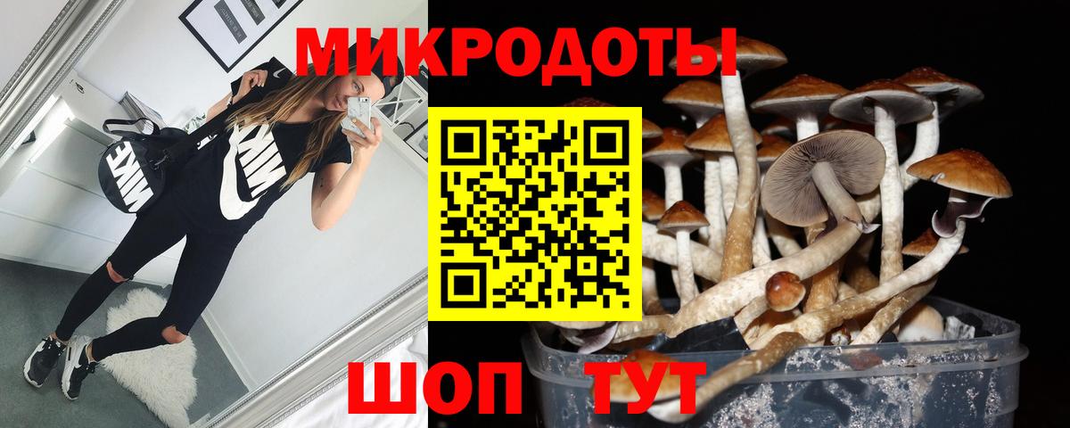 Галлюциногенные грибы прущие грибы Обнинск